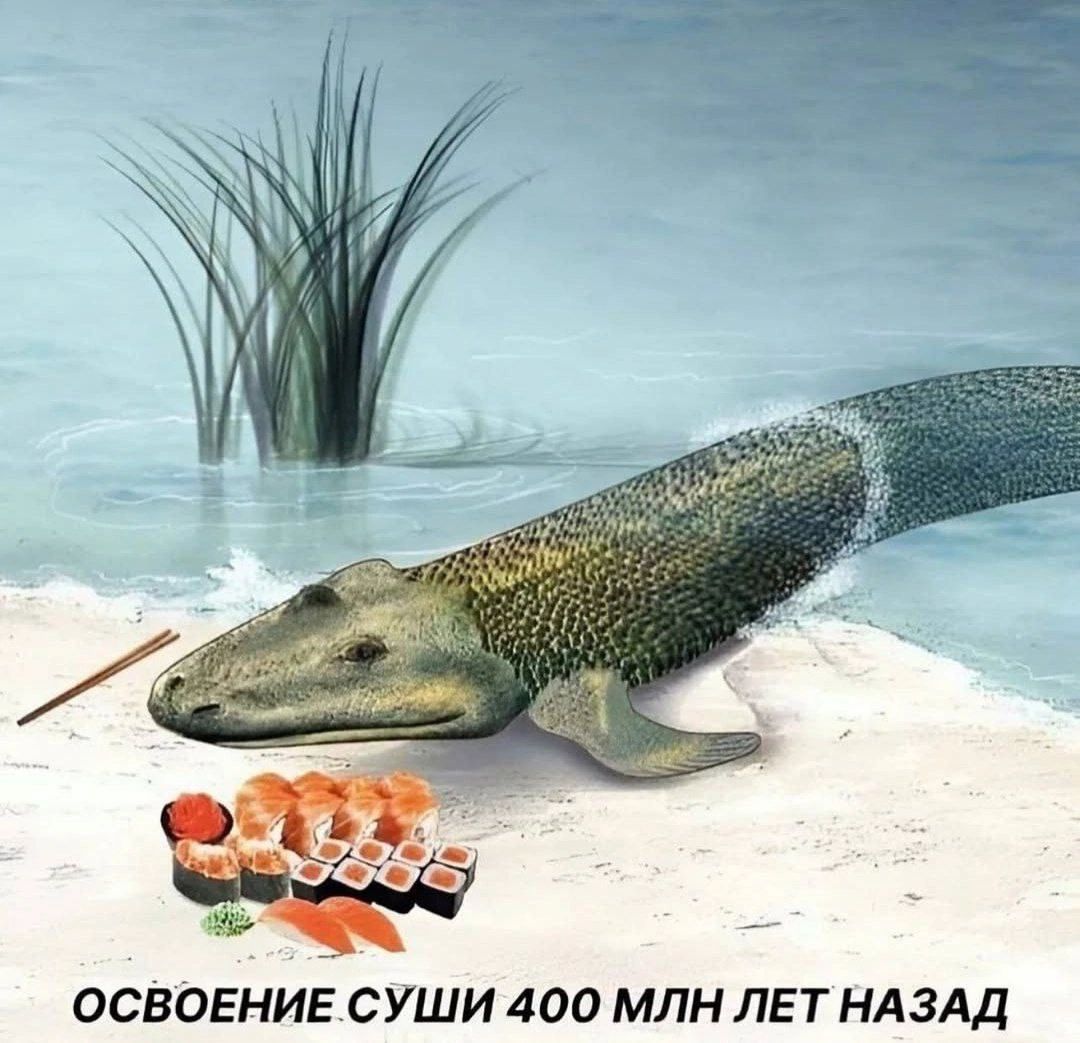 ОСВОЕНИЕ СУШИ 400 МЛН ЛЕТ НАЗАД