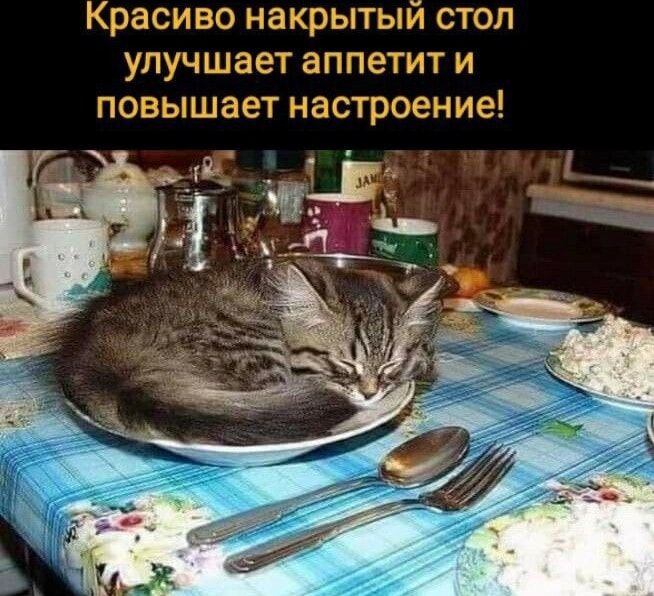 Красиво накрытый стол улучшает аппетит и повышает настроение!