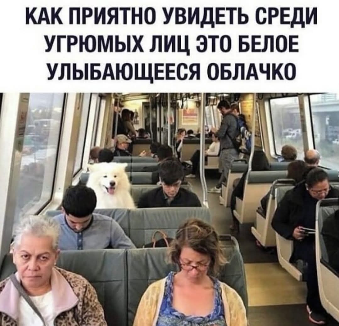 КАК ПРИЯТНО УВИДЕТЬ СРЕДИ УГРОМЫХ ЛИЦ ЭТО БЕЛОЕ УЛЫБАЮЩЕЕСЯ ОБЛАЧКО