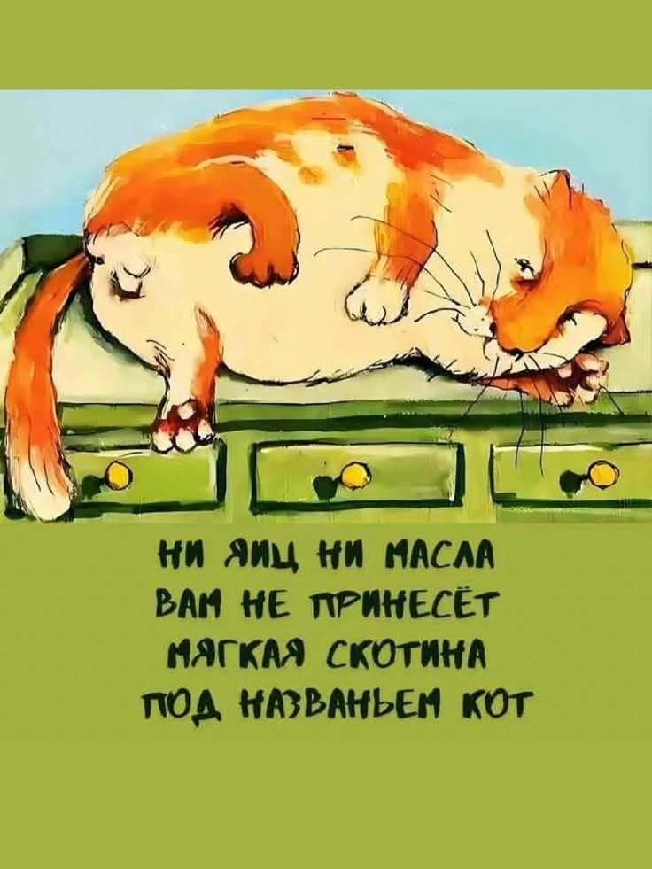 Ни яиц ни масла вам не принесет мягкая скотина под названием кот