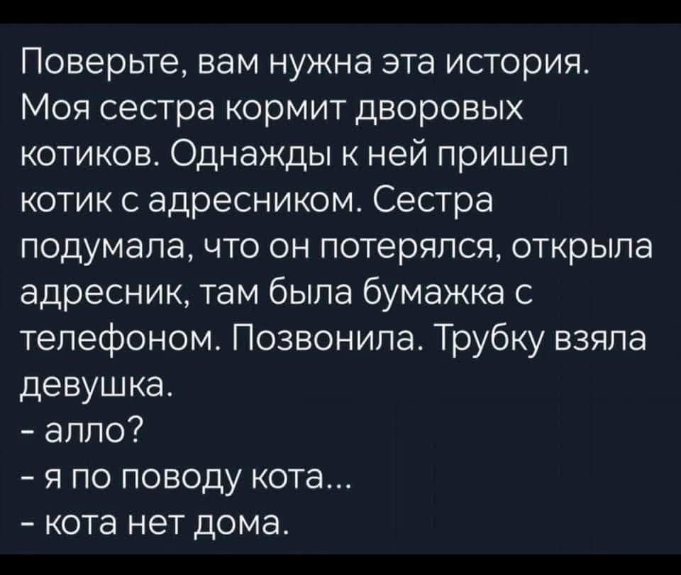 Поверьте, вам нужна эта история. Моя сестра кормит дворовых котиков. Однажды к ней пришел котик с адресником. Сестра подумала, что он потерялся, открыла адресник, там была бумажка с телефоном. Позвонила. Трубку взяла девушка.
- алло? 
- я по поводу кота… 
- кота нет дома.