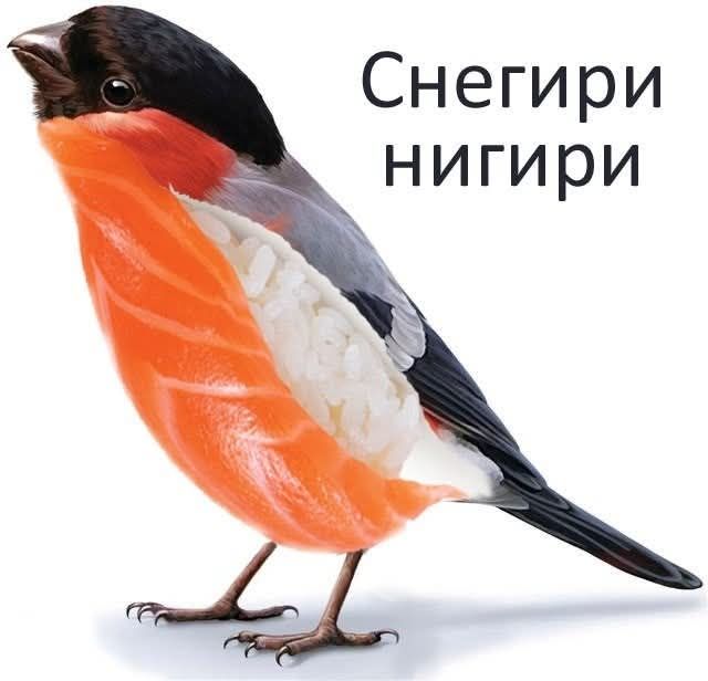 Снегири нигири