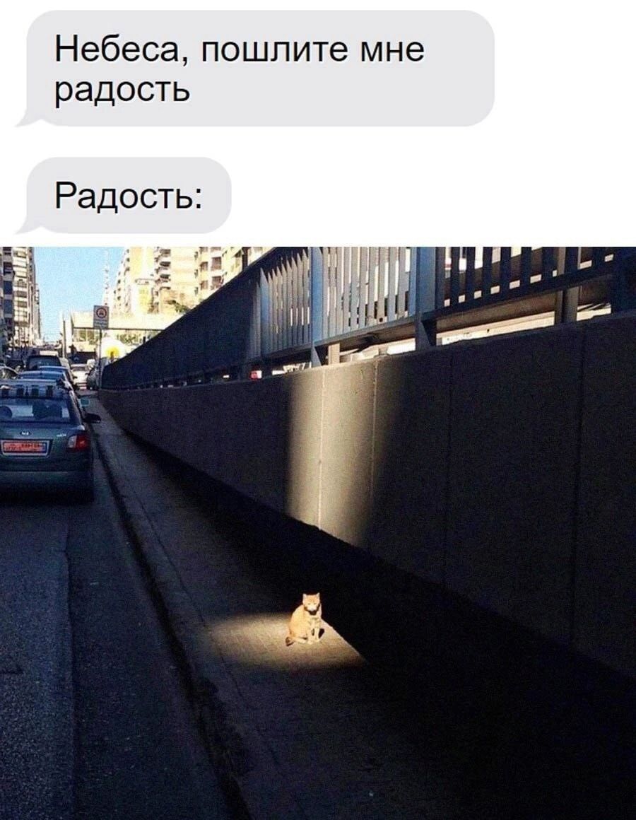 Небеса, пошлите мне радость

Радость:
