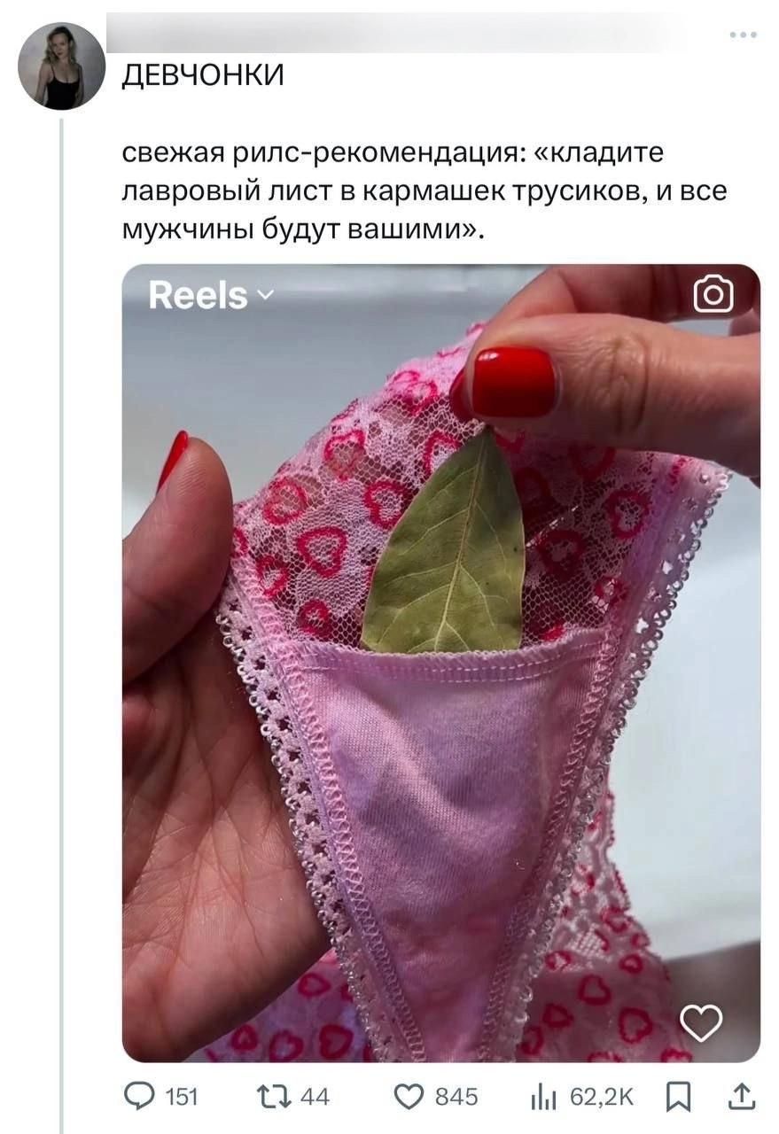 свежая рилс-рекомендация: «кладите лавровый лист в кармашек трусиков, и все мужчины будут вашими».