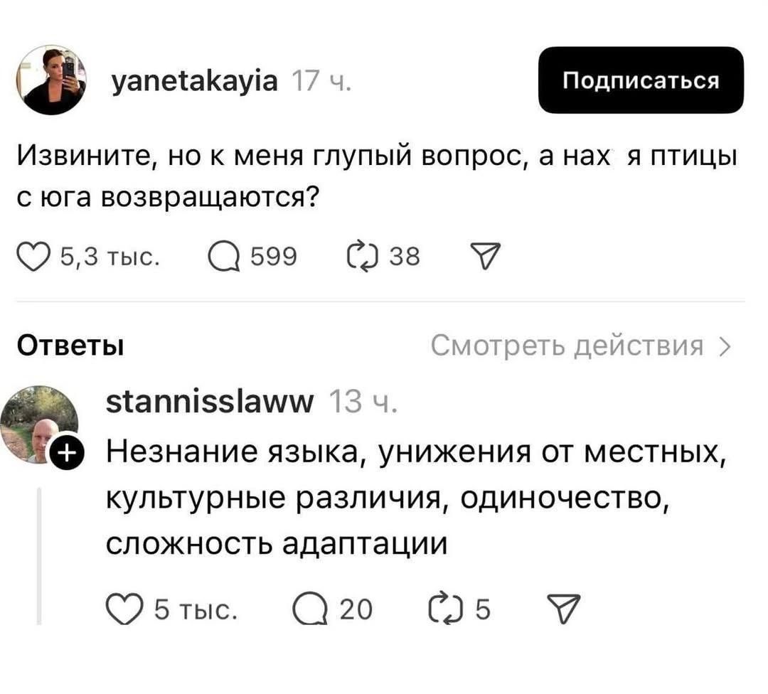 Извините, но к меня глупый вопрос, а нах  я птицы с юга возвращаются?
Незнание языка, унижения от местных, культурные различия, одиночество, сложность адаптации.