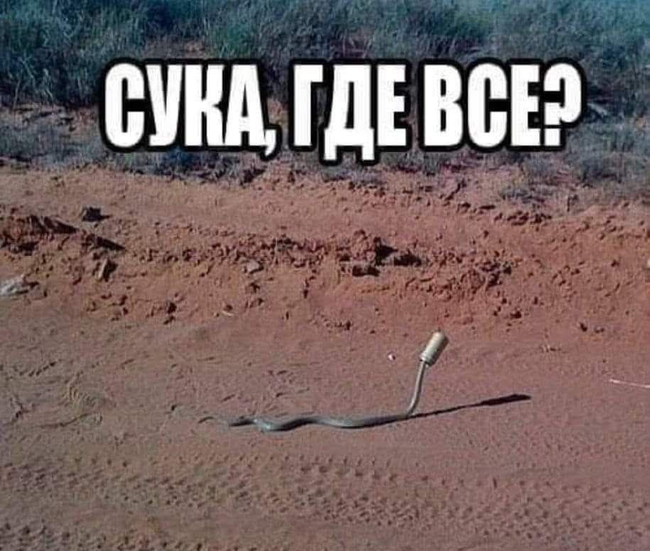 СУКА, ГДЕ ВСЕ?