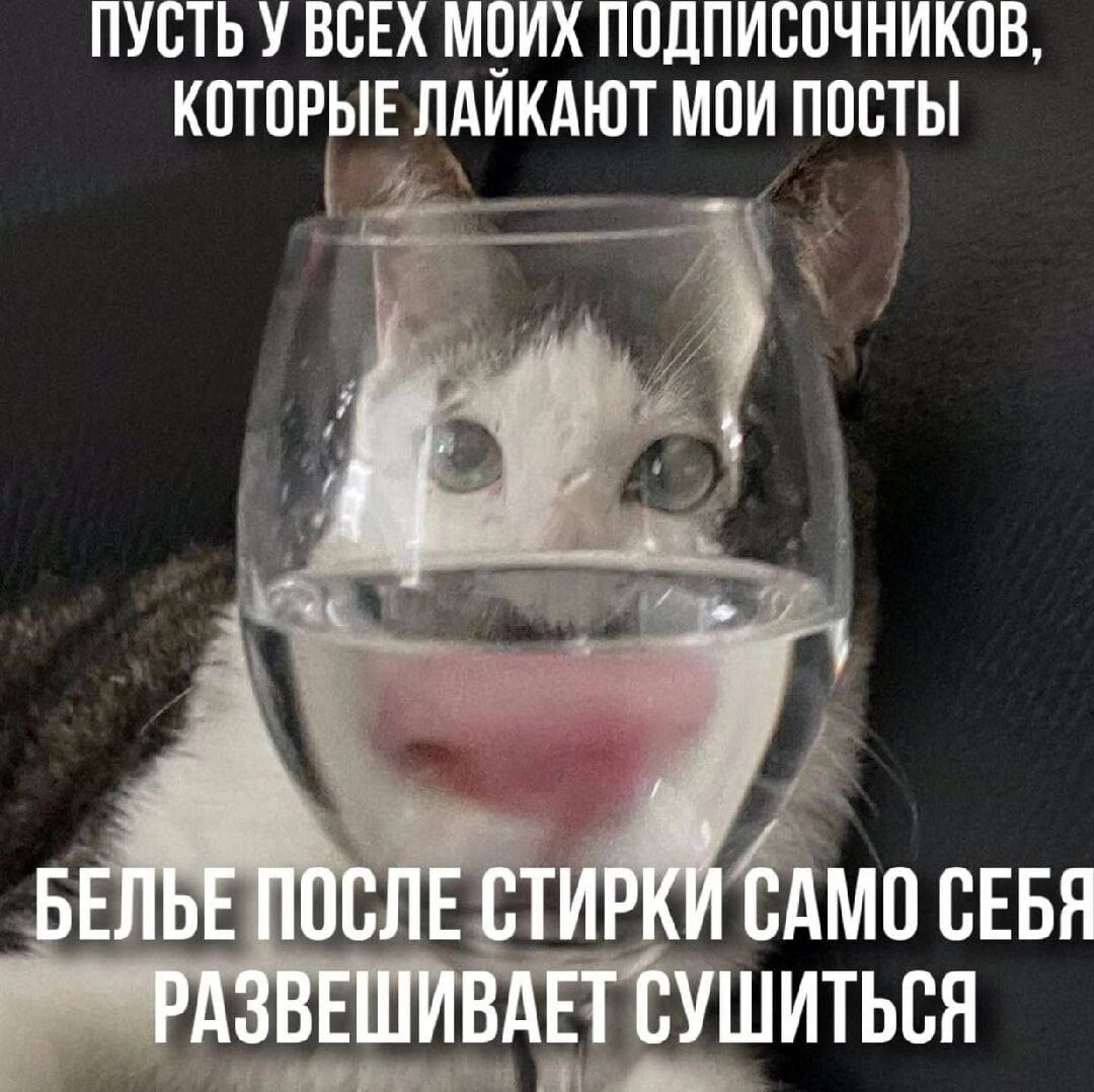 Пусть у всех моих подписчиков, которые лайкают мои посты
Белё после стирки само себя развешивает сушиться