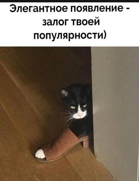 Элегантное появление - залог твоей популярности)