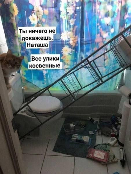 Ты ничего не докажешь, Наташа
Все улики косвенные