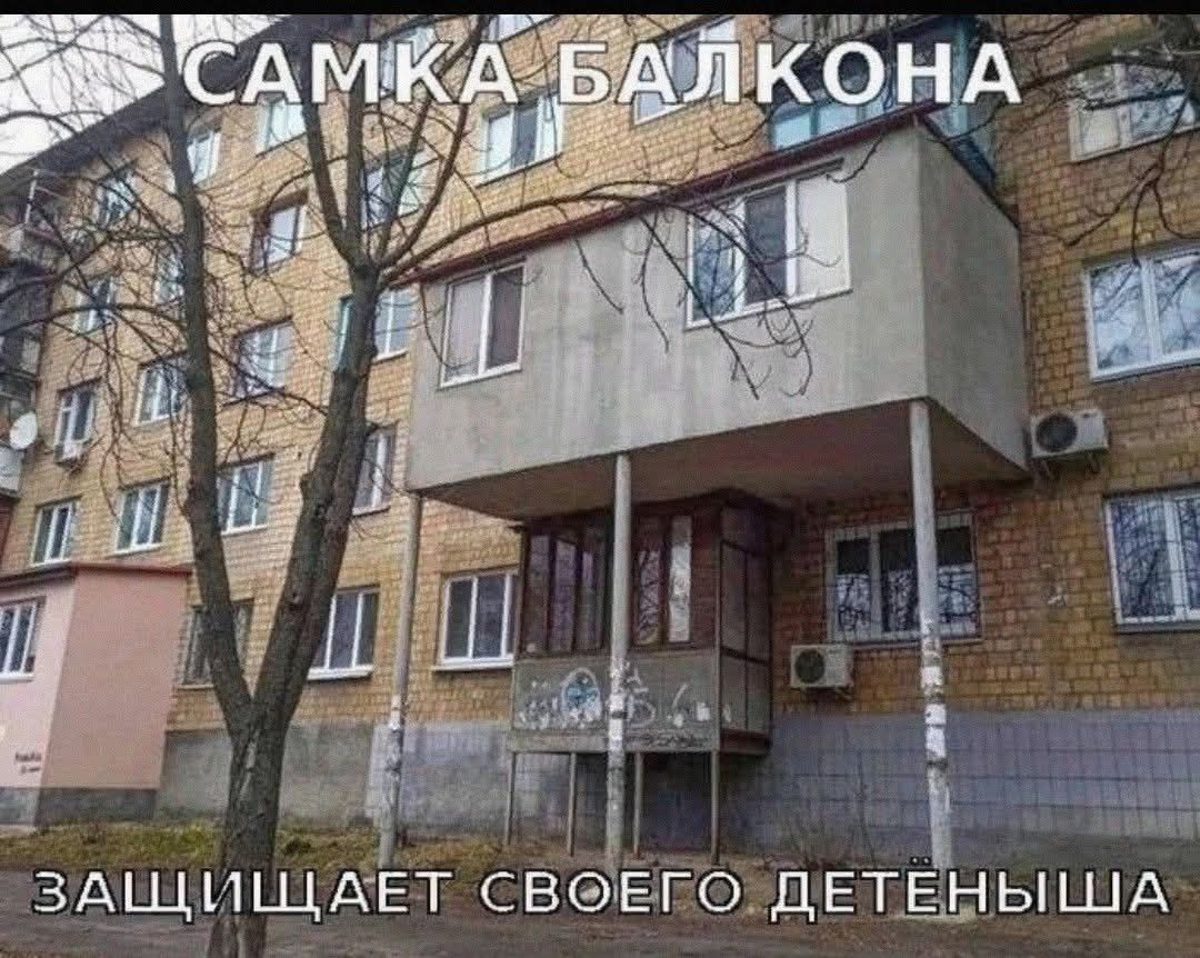 САМКА БАЛКОНА ЗАЩИЩАЕТ СВОЕГО ДЕТЕНЫША