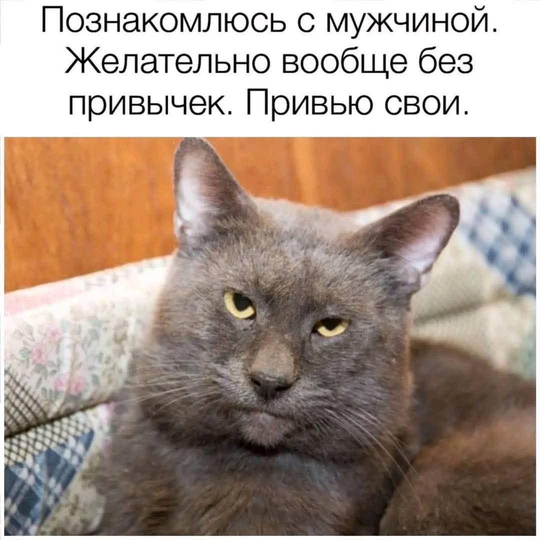 Познакомлюсь с мужчиной. Желательно вообще без привычек. Привью свои.