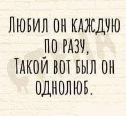 Любил он каждую по разу, такой вот был он однолюб.