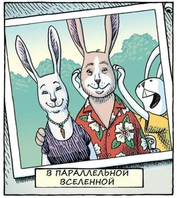 В ПАРАЛЛЕЛЬНОЙ ВСЕЛЕННОЙ
