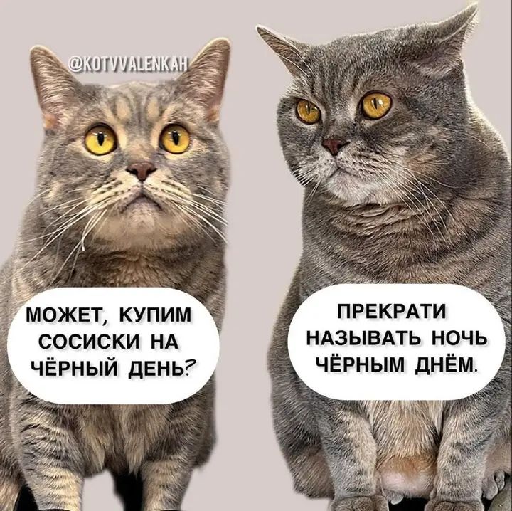 МОЖЕТ, КУПИМ СОСИСКИ НА ЧЁРНЫЙ ДЕНЬ? ПРЕКРАТИ НАЗЫВАТЬ НОЧЬ ЧЁРНЫМ ДНЁМ.
