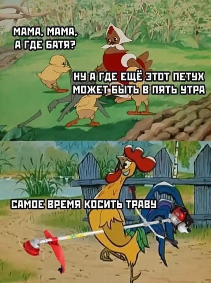 Мама, мама, а где батя? Ну а где ещё этот петух может быть в пять утра. Самое время косить траву.