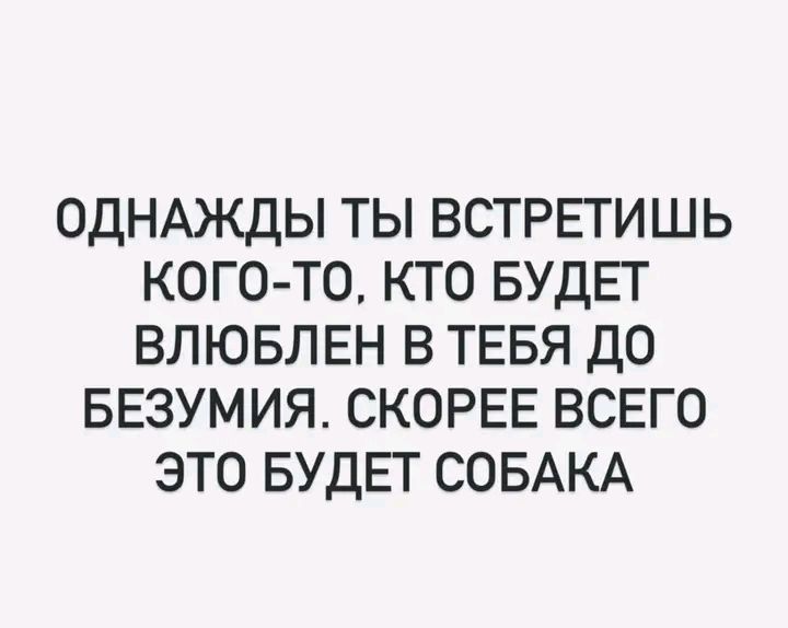 Однажды ты встретишь кого-то, кто будет влюблен в тебя до безумия. Скорее всего это будет собака.