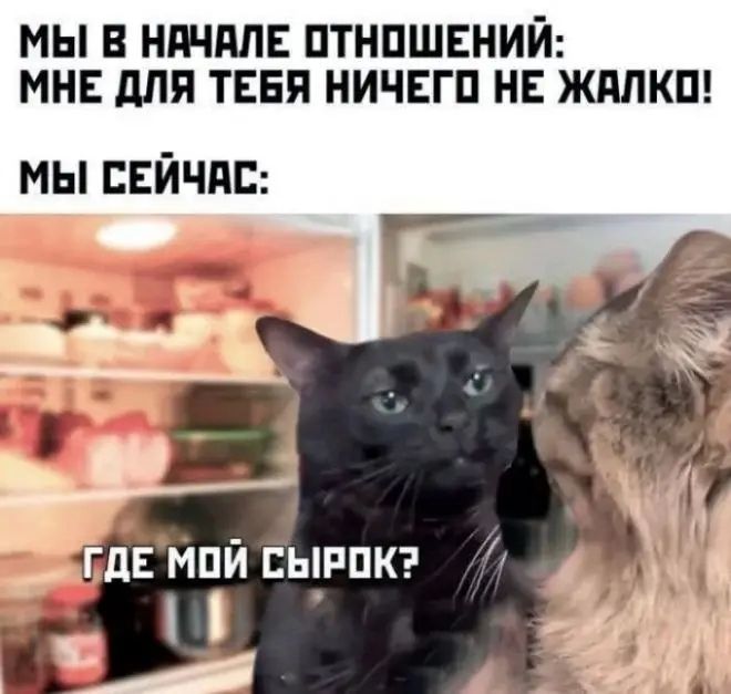 МЫ В НАЧАЛЕ ОТНОШЕНИЙ: МНЕ ДЛЯ ТЕБЯ НИЧЕГО НЕ ЖАЛКО! МЫ СЕЙЧАС: ГДЕ МОЙ СЫРОК?