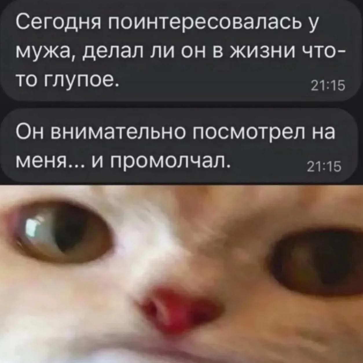 Сегодня поинтересовалась у мужа, делал ли он в жизни что-то глупое. Он внимательно посмотрел на меня… и промолчил.