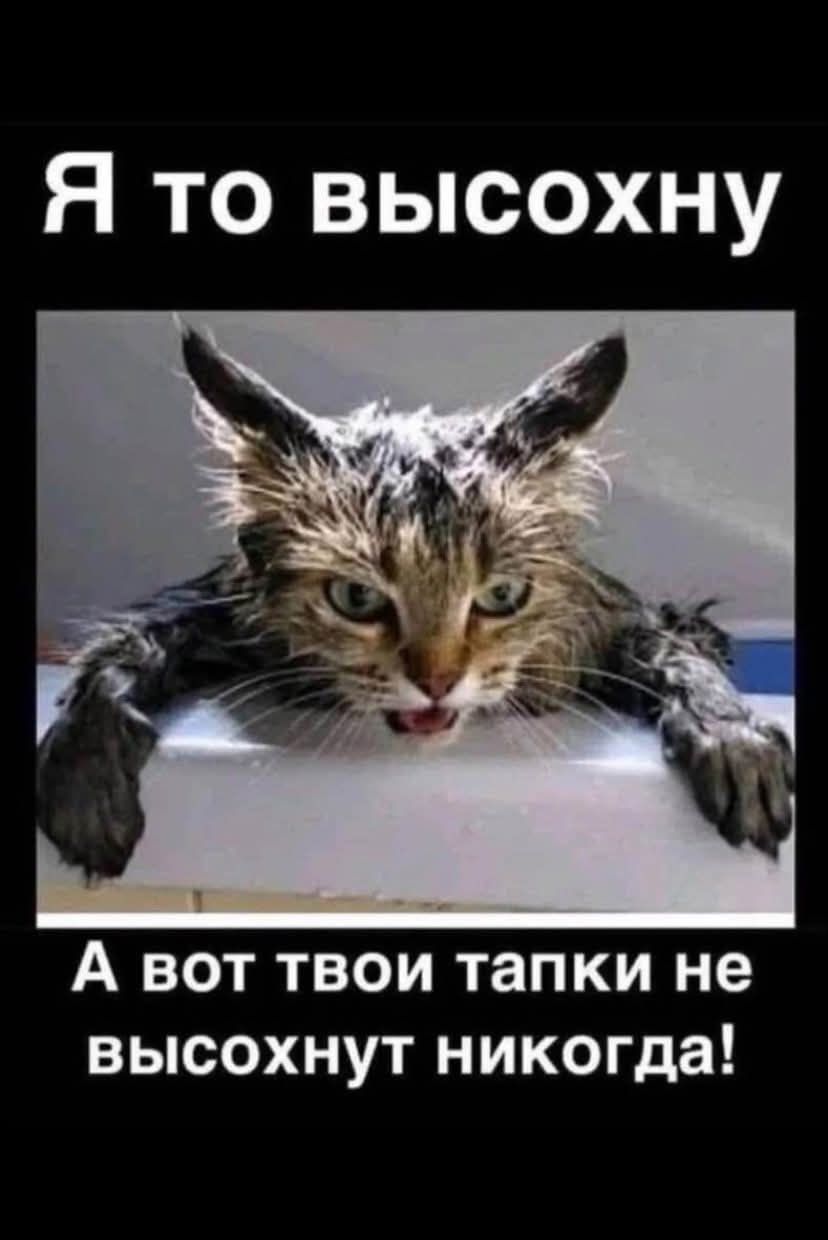 Я то высохну
А вот твои тапки не высохнут никогда!