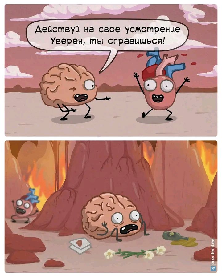 Действуй на свое усмотрение. Уверен, ты справишься!