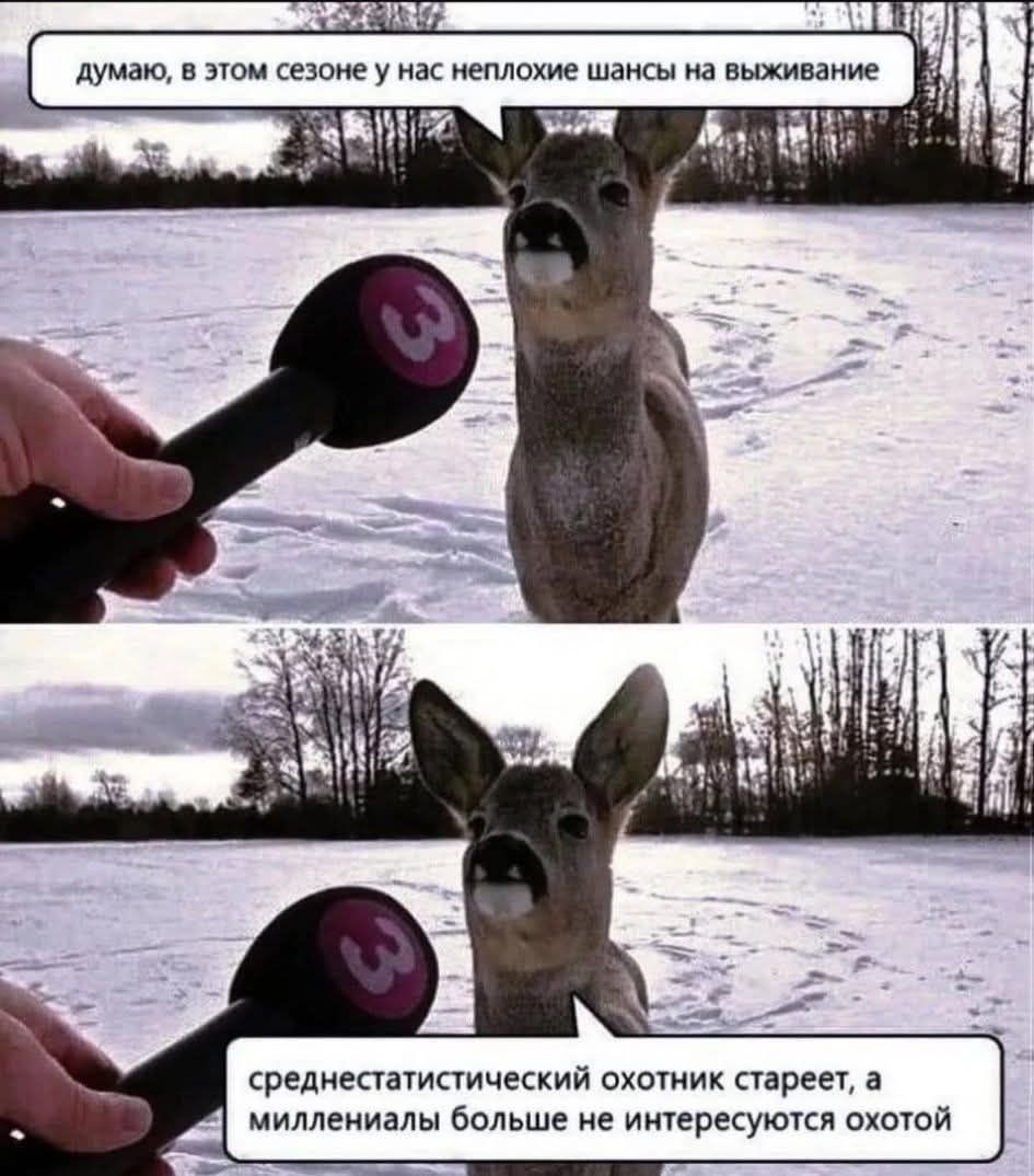 думаю, в этом сезоне у нас неплохие шансы на выживание
среднестатистический охотник стареет, а миллениалы больше не интересуются охотой