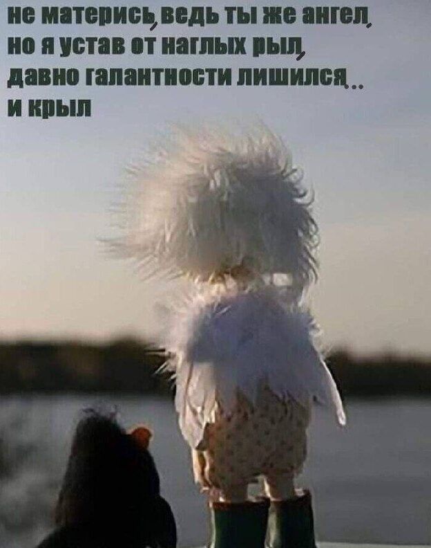 не матерись, ведь ты же ангел, но я устал от наглых рыб, давно галантности лишился.. и крыл