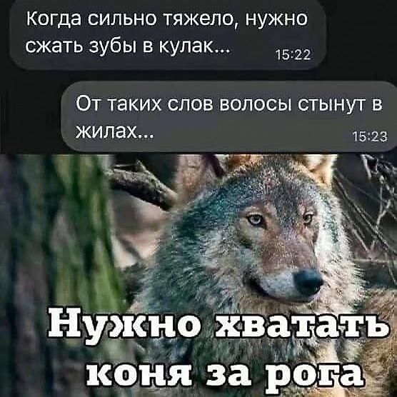 Когда сильно тяжело, нужно сжать зубы в кулак...
От таких слов волосы стынут в жилах...
Нужно хватать коня за рога