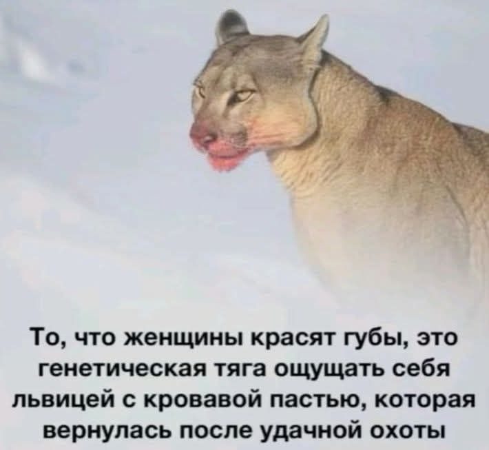 То, что женщины красят губы, это генетическая тяга ощущать себя львицы с кровавой пастью, которая вернулась после удачной охоты.