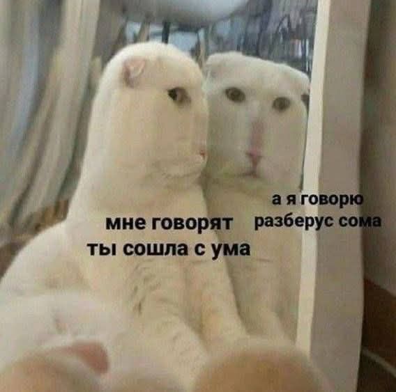 мне говорят ты сошла с ума
а я говорю разберусь сама