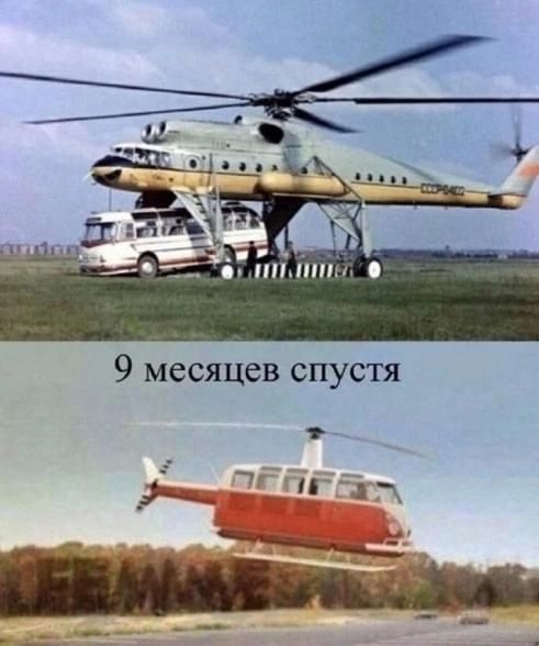 9 месяцев спустя