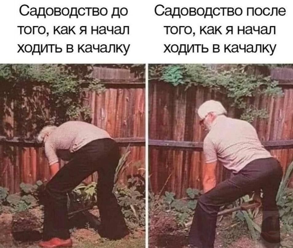 Садоводство до того, как я начал ходить в качалку
Садоводство после того, как я начал ходить в качалку