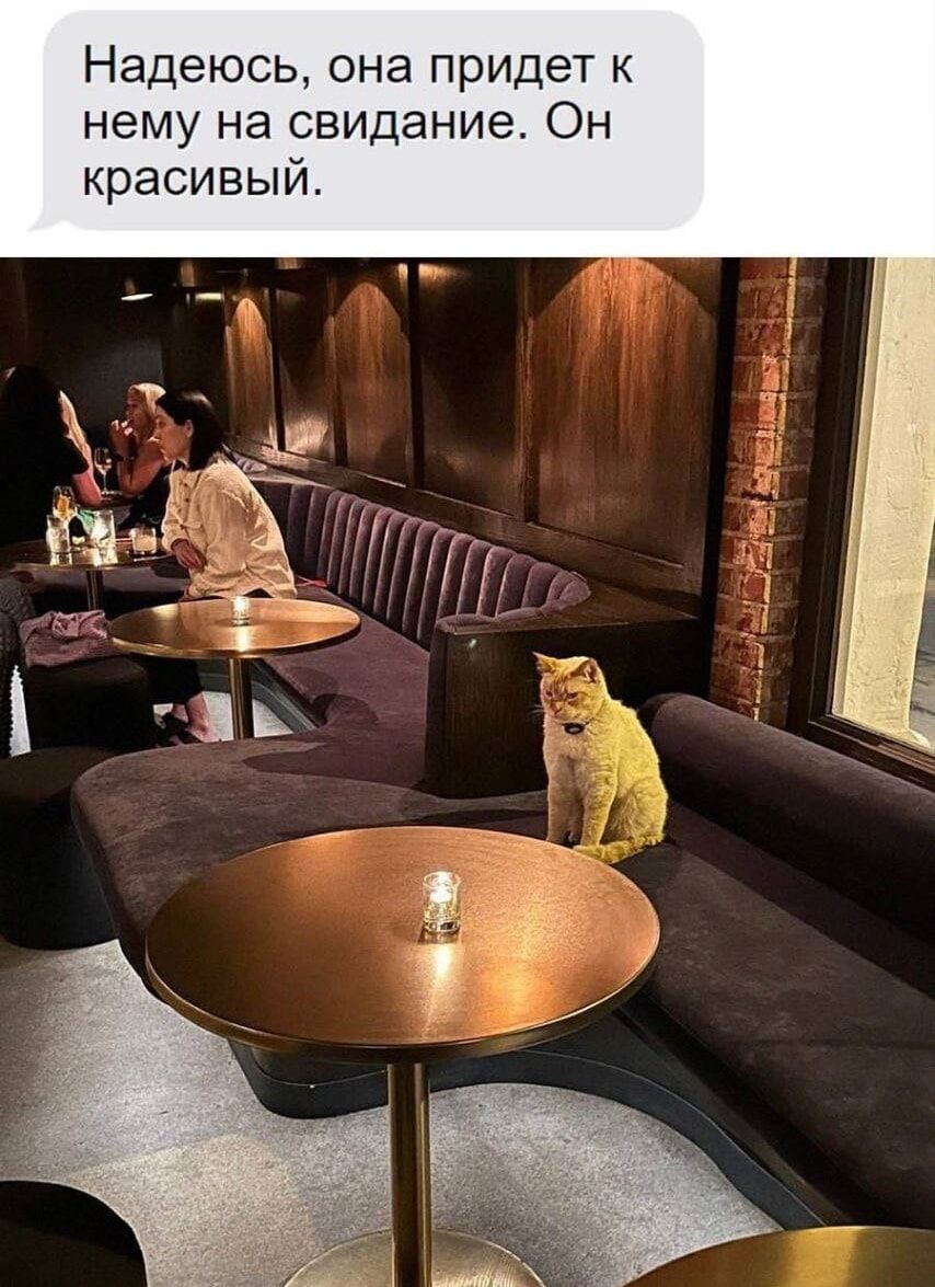 Надеюсь, она придет к нему на свидание. Он красивый.