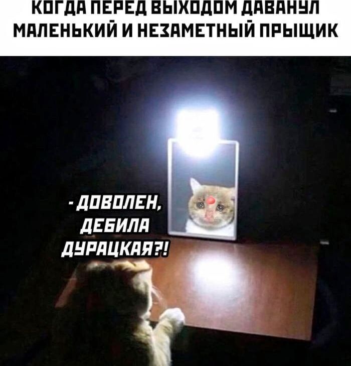 КОГДА ПЕРЕД ВЫХОДОМ ДАВАНУЛ МАЛЕНЬКИЙ И НЕЗАМЕТНЫЙ ПРИЩИК
- ДОВОЛЕН, ДЕБИЛА ДУРАЦКАЯ?!