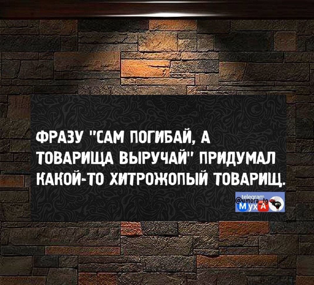 ФРАЗУ 