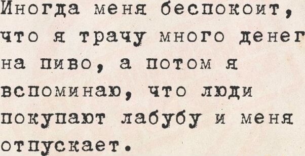 Иногда меня беспокоит, что я трачу много денег на пиво, а потом я вспоминаю, что люди покупают лабуду и меня отпускает.
