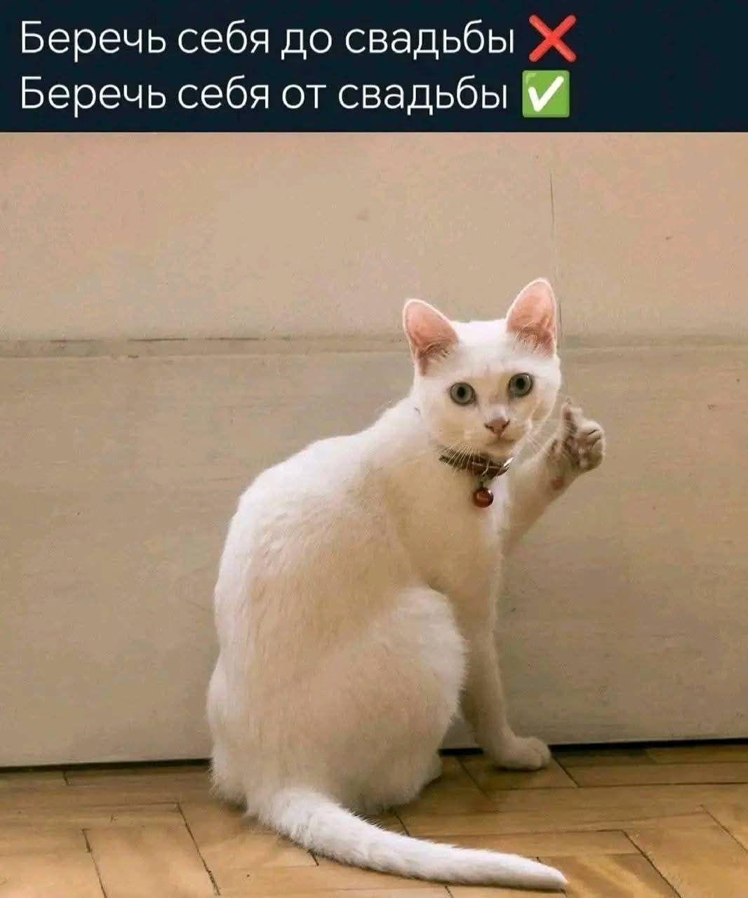 Беречь себя до свадьбы ❌
Беречь себя от свадьбы ✔️