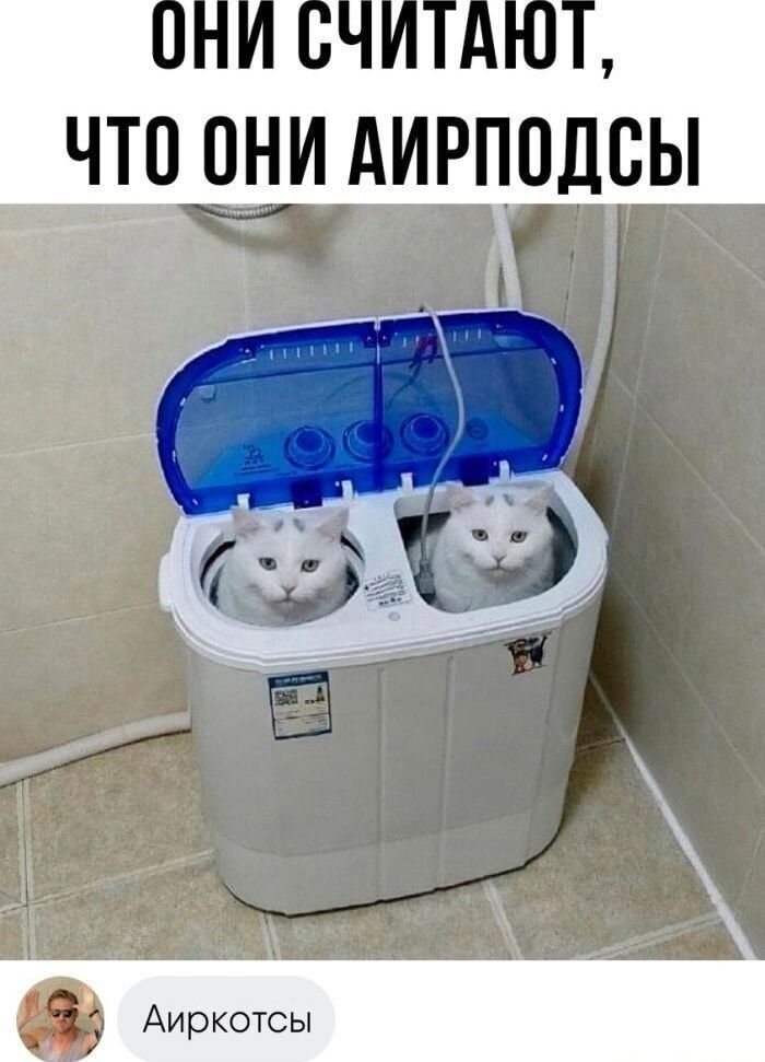 ОНI СЧИТАЮТ, ЧТО ОНИ АИРПОДСЫ