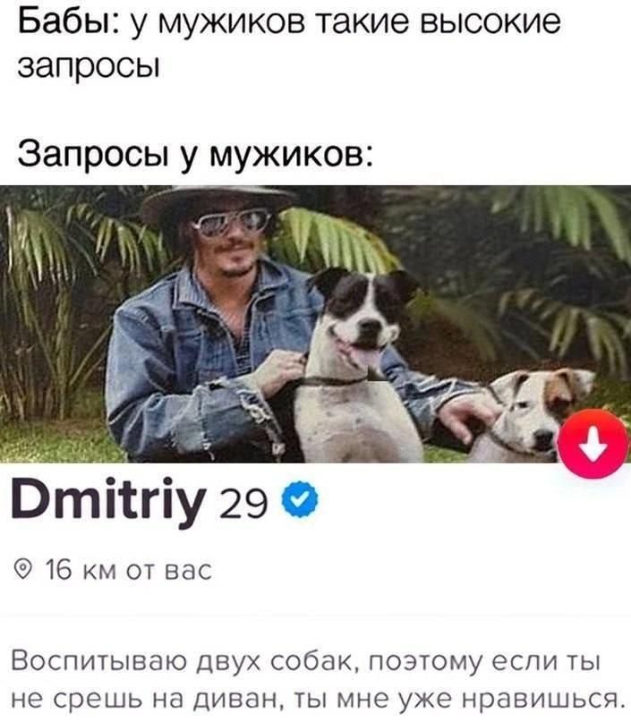 Бабы: у мужиков такие высокие запросы
Запросы у мужиков:
Dmitriy 29
@ 16 км от вас
Воспитываю двух собак, поэтому если ты не спешишь на диван, ты мне уже нравишься.