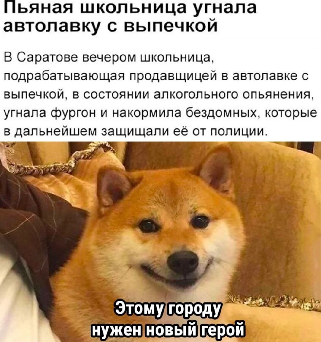 Пьяная школьница угнала автолавку с выпечкой

В Саратове вечером школьница, подрабатывающая продавщицей в автолавке с выпечкой, в состоянии алкогольного опьянения, угнала фургон и накормила бездомных, которые в дальнейшем защищали её от полиции.

Этому городу нужен новый герой