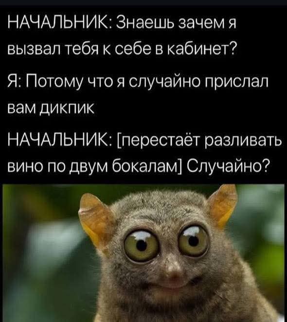 НАЧАЛЬНИК: Знаешь зачем я вызвал тебя к себе в кабинет?
Я: Потому что я случайно прислал вам дикпик
НАЧАЛЬНИК: [перестаёт разливать вино по двум бокалам] Случайно?