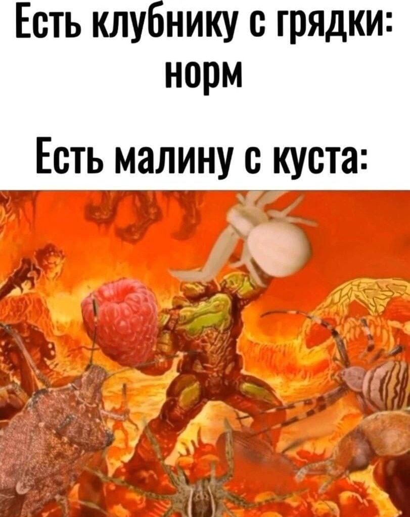 Есть клубнику с грядки: норм
Есть малину с куста:
