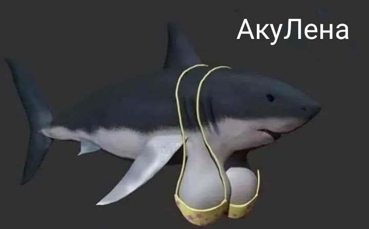 АкуЛена