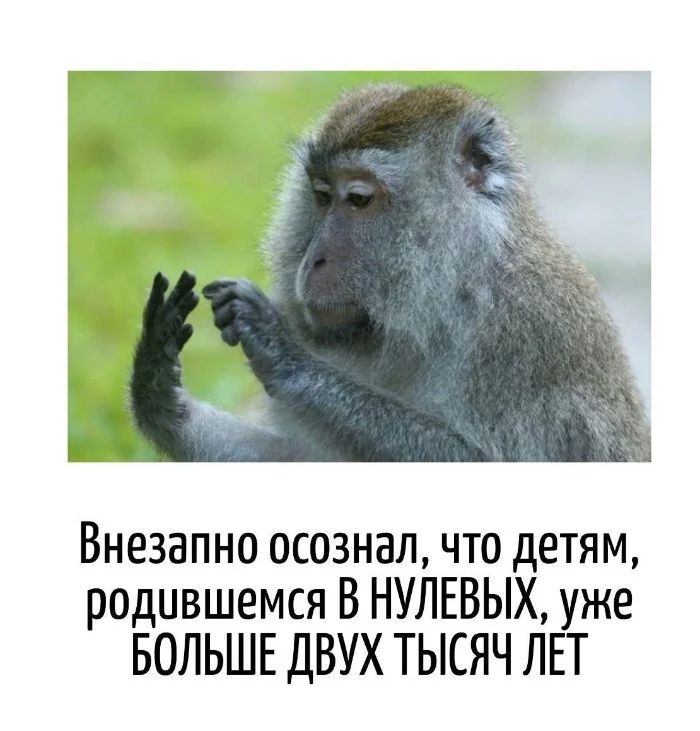 Внезапно осознал, что детям, родившимся В НУЛЕВЫХ, уже БОЛЬШЕ ДВУХ ТЫСЯЧ ЛЕТ