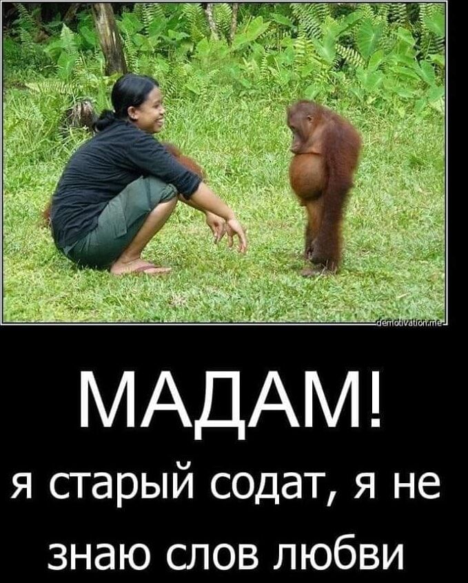 МАДАМ! я старый содат, я не знаю слов любви