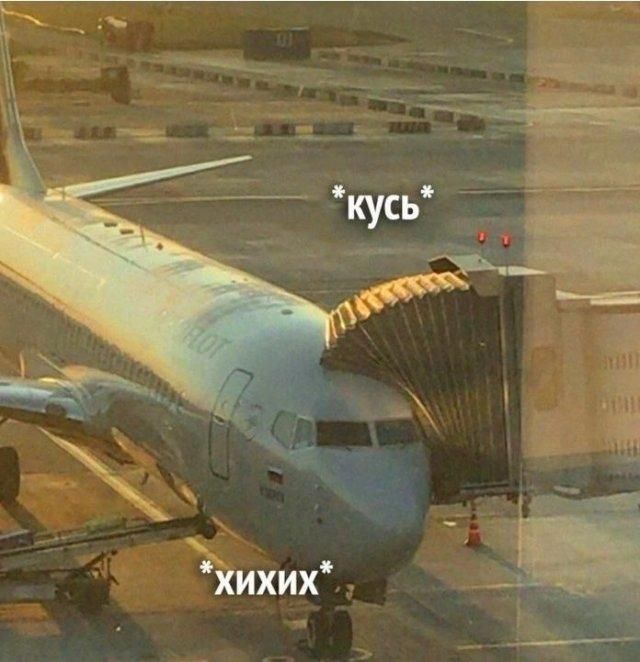 *кус* *хихих*
