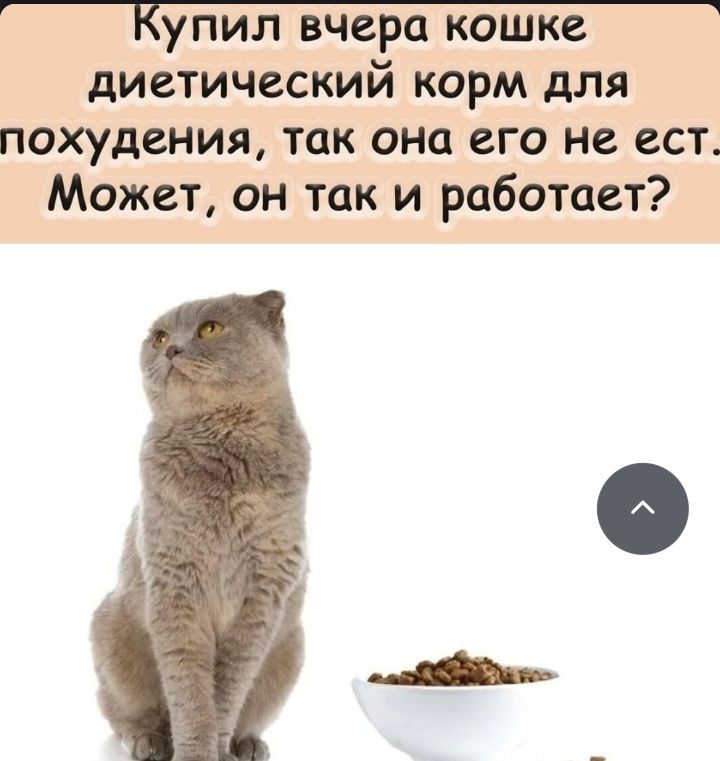 Купил вчера кошке диетический корм для похудения, так она его не ест. Может, он так и работает?