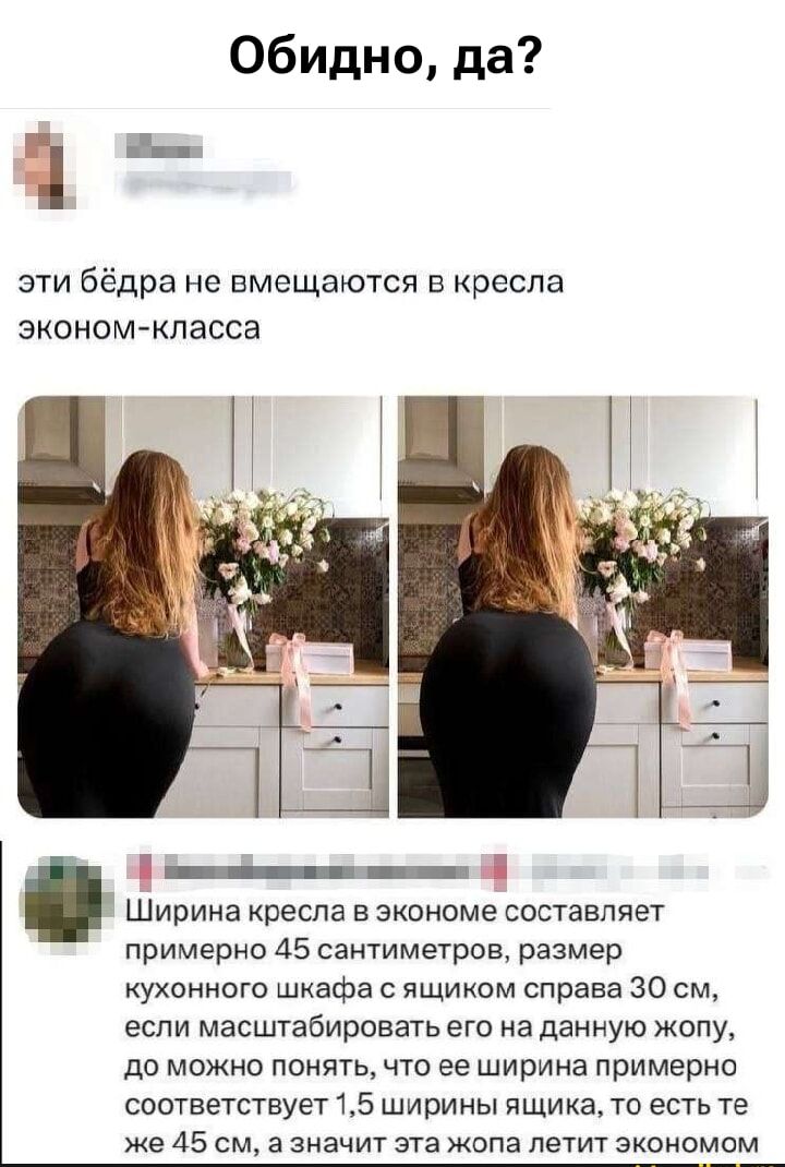 Обидно, да? эти бёдра не вмещаются в кресла эконом-класса Ширина кресла в экономе составляет примерно 45 сантиметров, размер кухонного шкафа с ящиком справа 30 см, если масштабировать его на данную жопу, то можно понять, что её ширина примерно соответствует 1,5 ширины ящика, то есть те же 45 см, а значит эта жопа летит экономом