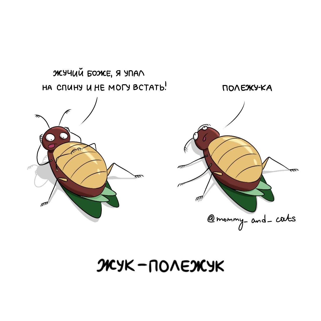 Жучий Боже, я упал на спину и не могу встать! Полежу-ка.