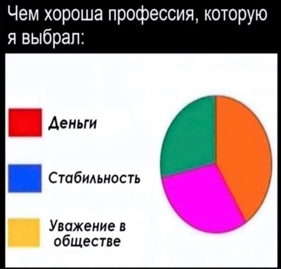 Чем хороша профессия, которую я выбрал:

Деньги
Стабильность
Уважение в обществе