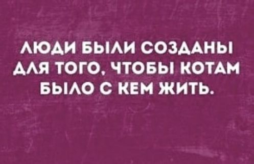Люди были созданы для того, чтобы котам было с кем жить.
